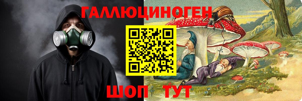 Галлюциногенные грибы Cubensis  Вход с VPN  Котельники 